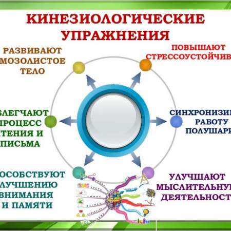 Кинезиологические упражнения 