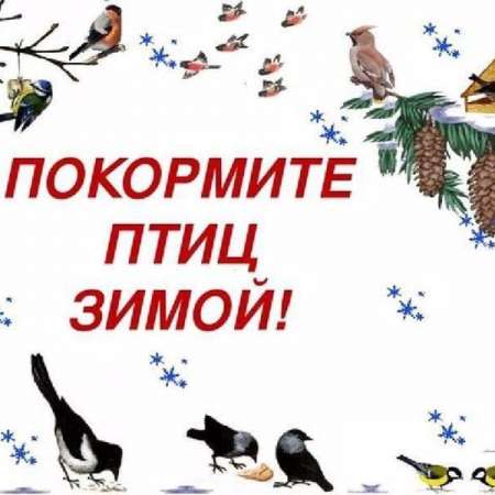 Покормите птиц зимой!