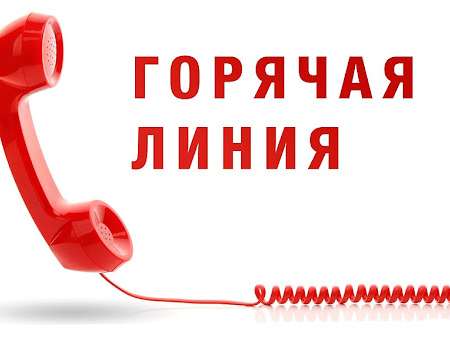 Начала работу горячая линия по качеству и безопасности детских товаров и школьных принадлежностей